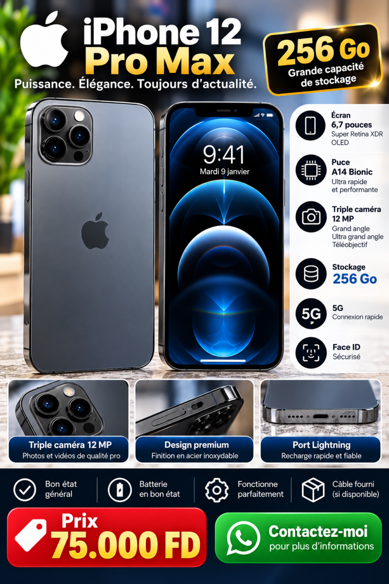 iPhone 12 Pro Max 256 Go en bon état