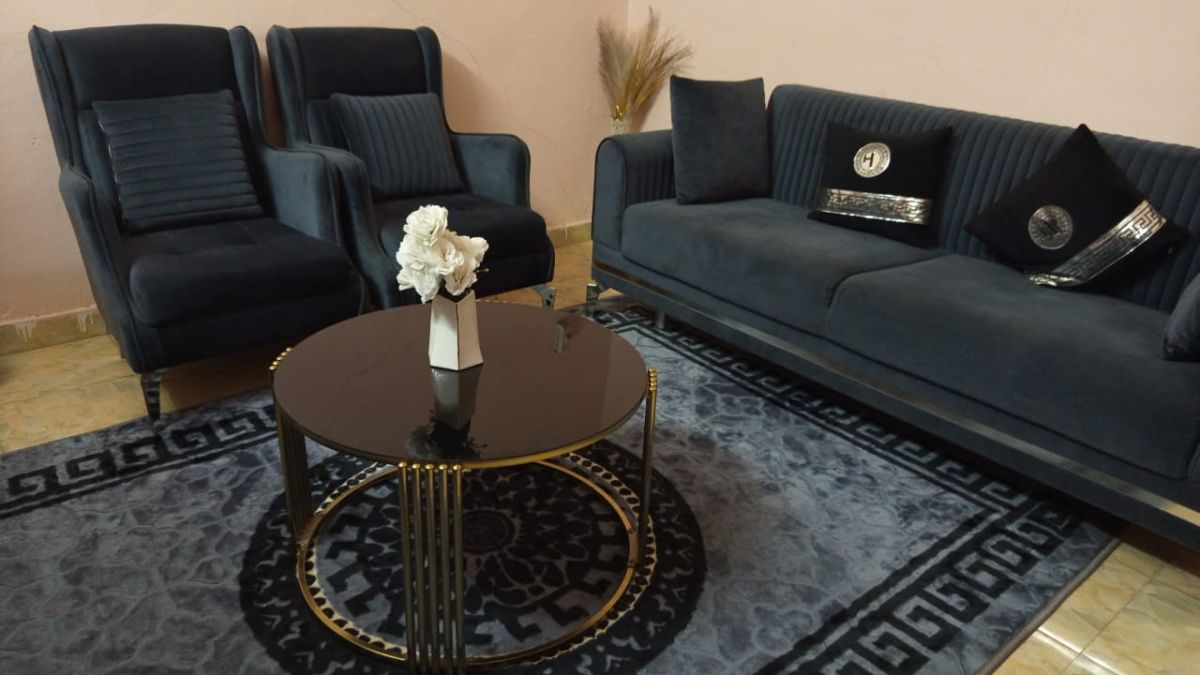 Salon complet en excellent état avec accessoires inclus