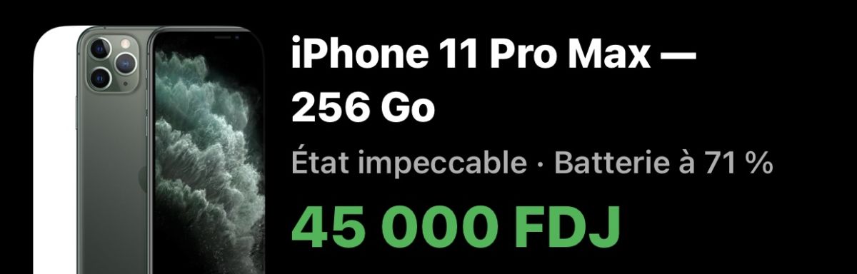 iPhone 11 Pro Max 256 Go Noir Gris Mat, bon état