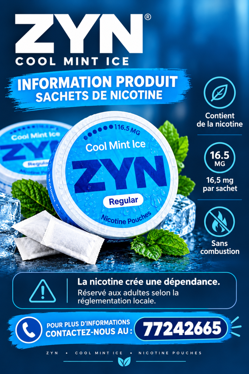 ZYN Cool Mint Ice goût menthe glacée sans combustion